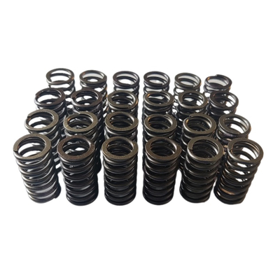 Valve springs upgrade